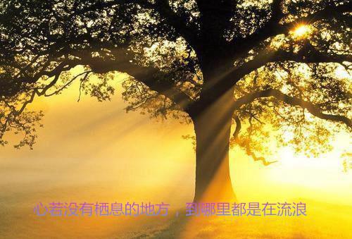 汪国真诗集