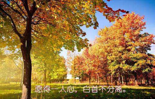 中秋经典对联
