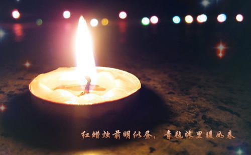 关于鸟的儿童诗歌