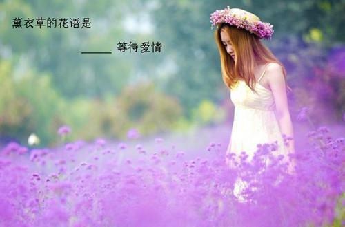 励志语录八个字有哪些