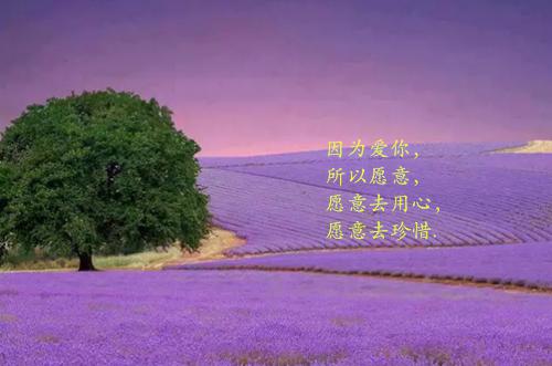 快乐儿童节日记500字（通用17篇）