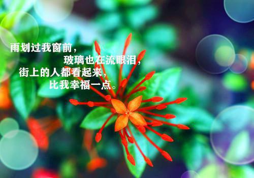 宝宝睡前故事精选