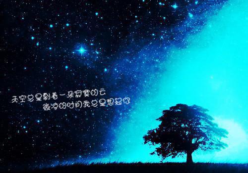 【热门】花语作文3篇