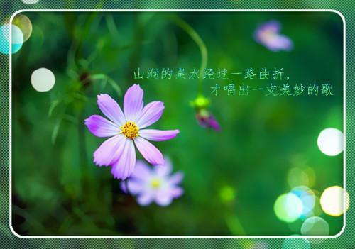 香芋叙—朋友