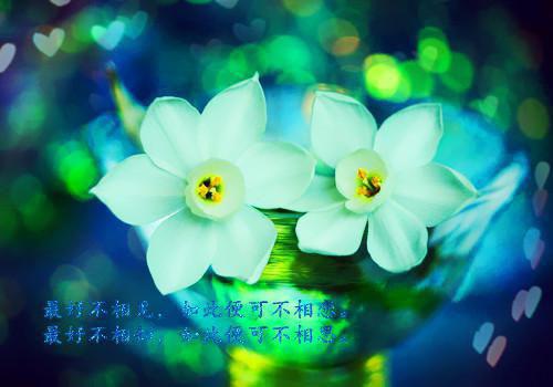 中外智慧结晶名人名言