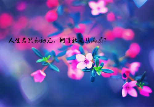 历史最有名爱子故事