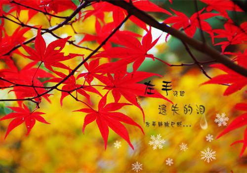 50个字左右的绕口令