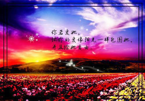 《也曾听闻爱断肠》全本小说_顾瑶蒋文煦全本阅读