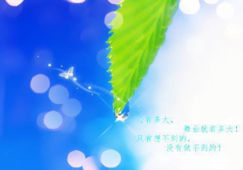 关于人生的爱情散文随笔