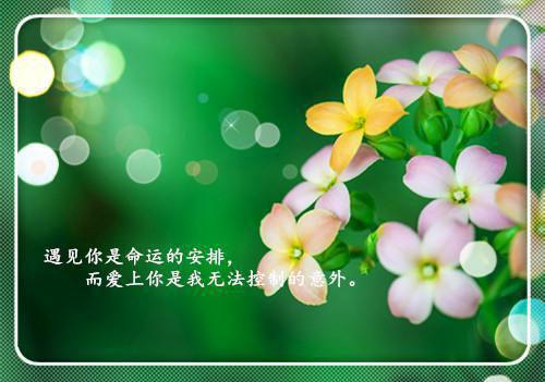 老人生日快乐祝福语大全