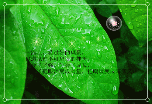奔跑的树叶