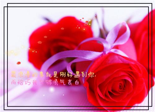 睡前小故事：聪明的公鸡有趣的童虎