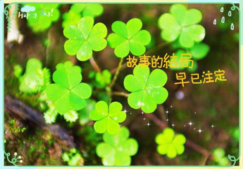 2019年衷心的生日祝福语例文