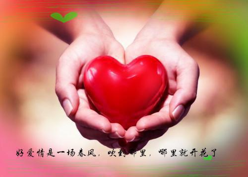 心情的短句语录淡淡伤心