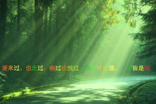 赞美老师的诗歌（精选15首）