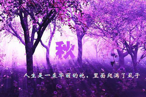 写爱国之情的励志诗句