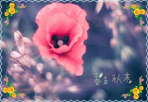 惜时名人名言