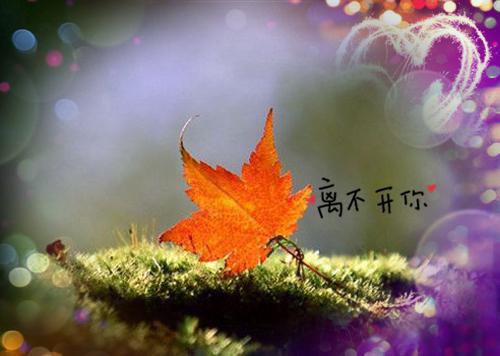 现代励志名诗精选