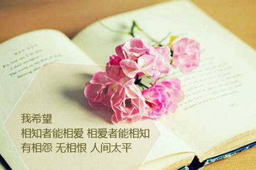 《卖火柴的小女孩》读书笔记15篇