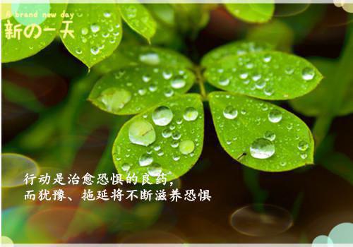 电视剧甄嬛传经典台词