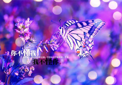 【推荐】日记作文300字锦集7篇