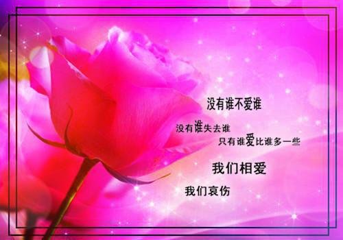 小学励志话语