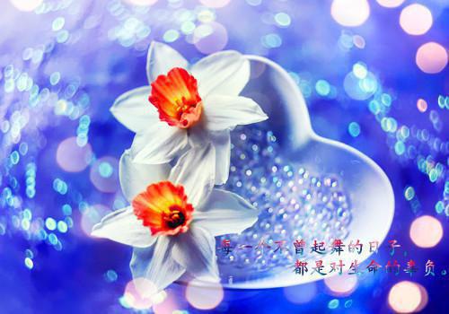 立冬谚语诗词大全