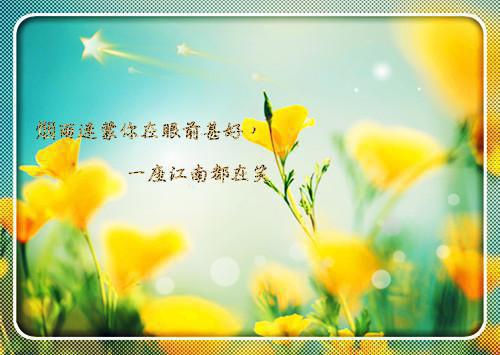 创新的格言