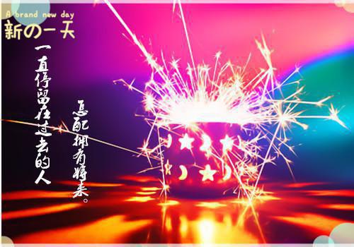 油菜花观察日记15篇