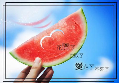 小白兔的童话故事