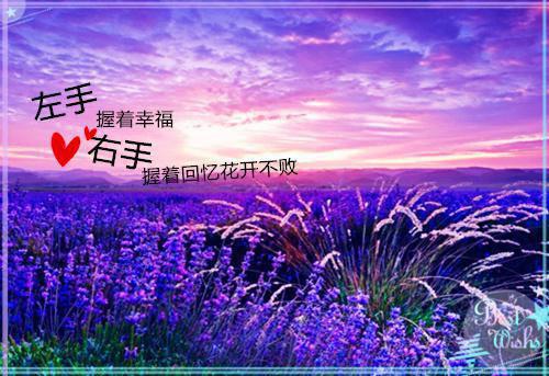 適合幼兒園寶寶的適合睡前睡前故事【三篇】