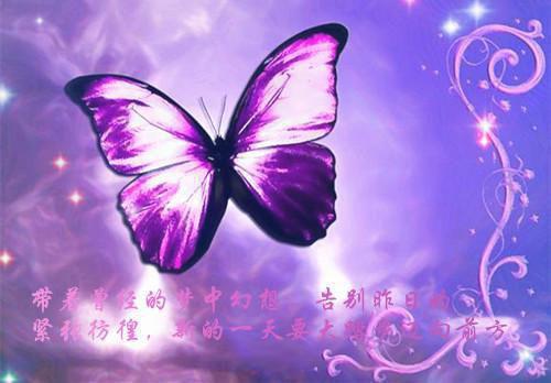 精选花语作文3篇