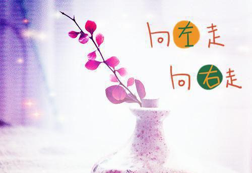 关于暑假日记 15篇
