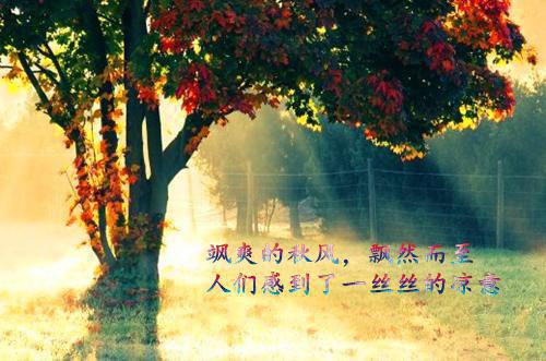 离别古诗孟郊《古怨别》赏析