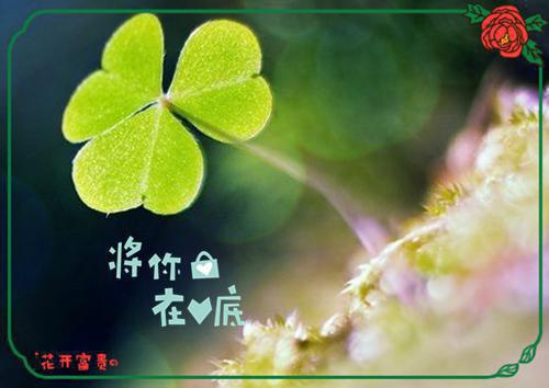 幸福的签名锦集56条