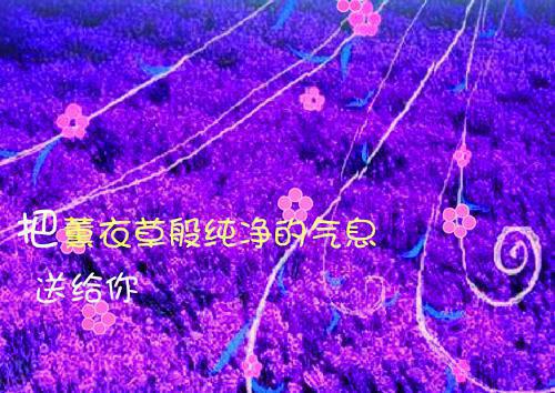 简爱的读后感范文（通用21篇）