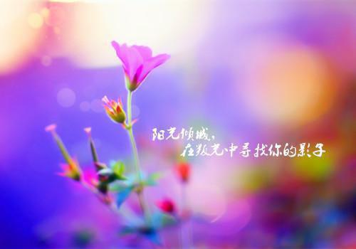 积极向上的语录