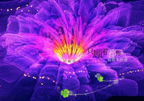 美人舞如莲花旋，世人有眼应未见