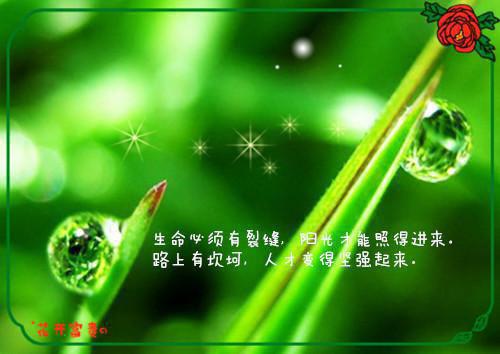 唯美的爱情散文
