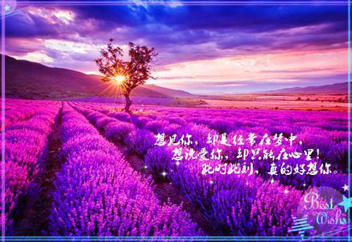 关于乐观向上名人名言