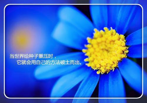 劝人喝酒经典顺口溜大全