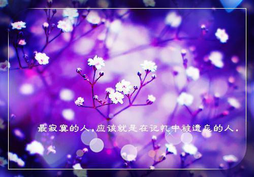 关于小学一年级谚语大全