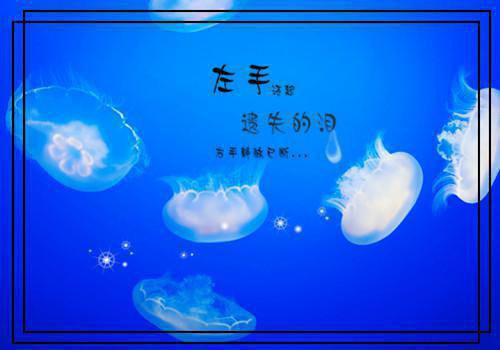 儿童绕口令：多少罐