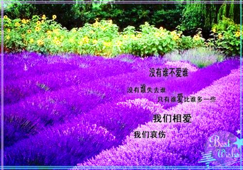 嬰幼兒寓言故事大全精選