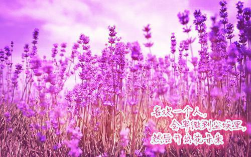 有关心情郁闷的句子