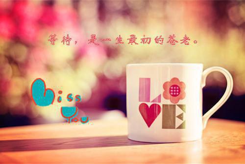 关于暑假日记 (15篇)