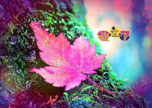 五十封情书短句情侣表白的情书短句