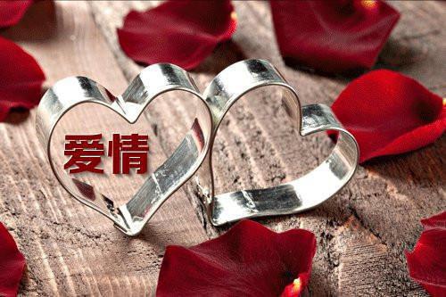 小学生的奋斗励志文章