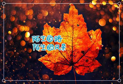 需要给你的坚强