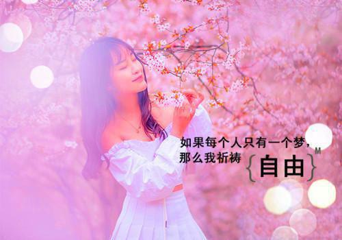 关于鼹鼠的睡前故事小鼹鼠的包裹